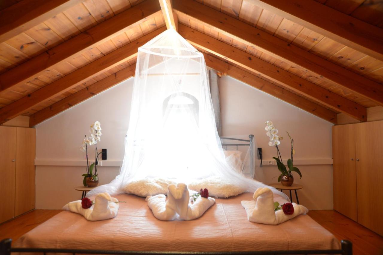 Mary's Dreams *