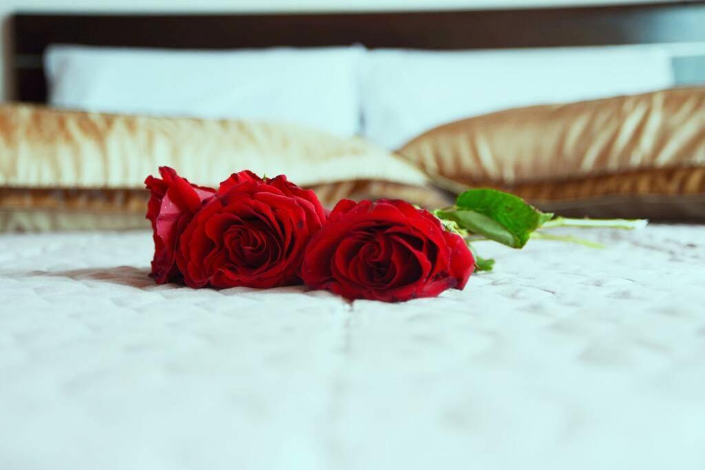 Mary's Dreams Villa Symi